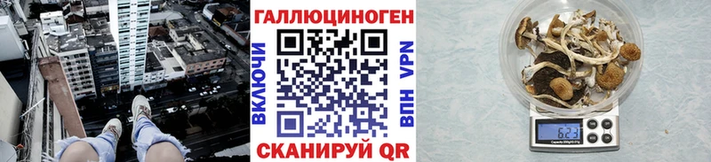 МЕГА зеркало  Нижний Ломов  Псилоцибиновые грибы мицелий 